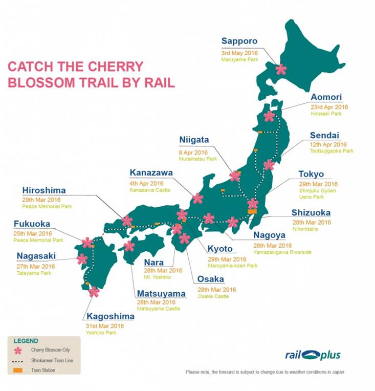 Cherry-blossom-train-map-983x1024