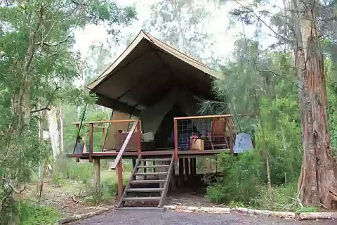 A clean weekend at Paperbark Camp, Huskisson